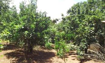 Imagem 2: Pertinho da Serra do Cipó, maravilhoso sitio de 4.500m²(Temos varias opções)