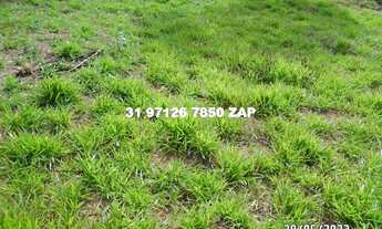 Imagem: Lindas chácaras em Ravena de 1.000 mts