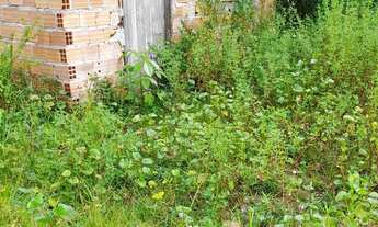 Imagem 4: Pequena casa Casa com 1 dormitório