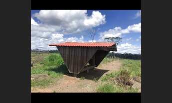 Imagem 6: VENDE-SE FAZENDA COM 519ha REGIÃO DE IRACEMA