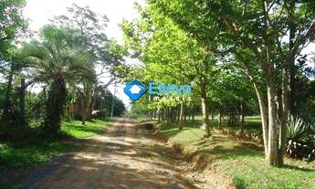 Imagem 4: Terreno à Venda - Recanto da Corcunda