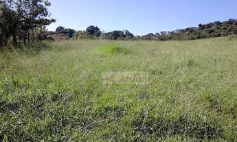 Imagem 3: Chácara rural à venda, Sousas, Campinas