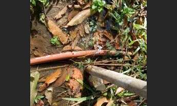 Imagem 3: Chácara beira rio Cuiabá