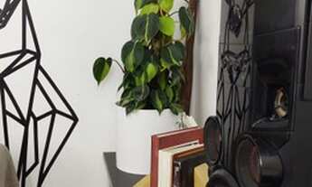 Imagem 2: Cobertura - Bombinhas - SC