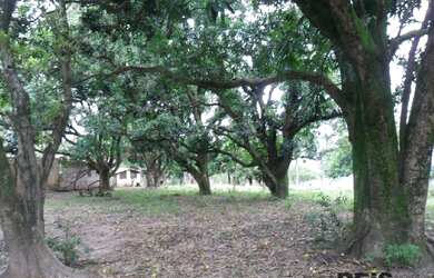 Imagem 7: Área à venda, 57000 m² por R$ 17.100.000,00 - Iporanga - Sorocaba/SP