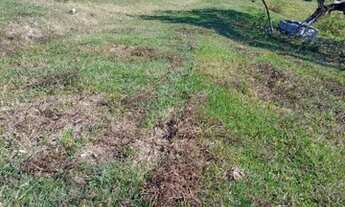 Imagem 2: Ótima oportunidade! Um lindo sítio ? para alugar 1400,00, em São Vicente