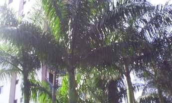 Imagem 4: Venda de Apartamento em São Paulo