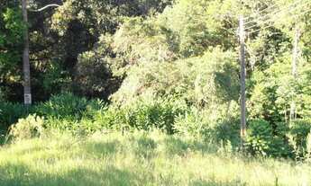 Imagem 3: Terreno para Venda em Quatro Barras, Jardim Orestes Thá