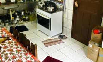 Imagem 5: Casa com 3 quartos e vaga de garagem em Alfredo Chaves/ES