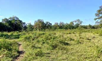 Imagem 2: Fazenda/Sítio/Chácara para venda tem 0 metros quadrados com 2 quartos