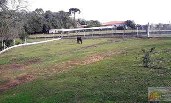 Imagem 2: Chácara para Venda em São José dos Pinhais, campina taquaral, 3 dormitórios, 1 suíte, 1 ba