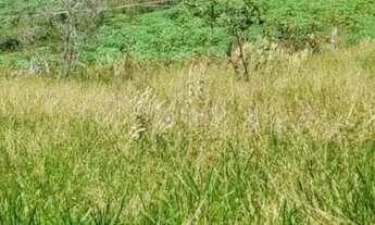 Imagem 6: Terreno 500m Indaiatuba SP - Chacaras