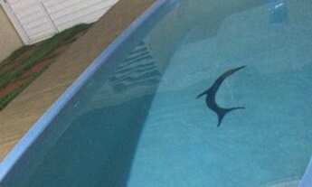 Imagem 3: Alugo casa na praia da caueira