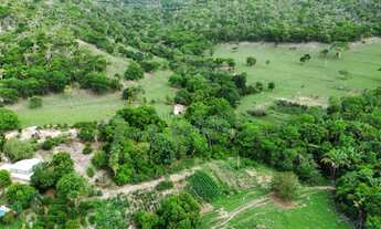Imagem: Fazenda na Agrovila das Palmeiras 630 Hectares