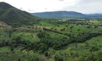 Imagem 15: Fazenda na Agrovila das Palmeiras 630 Hectares