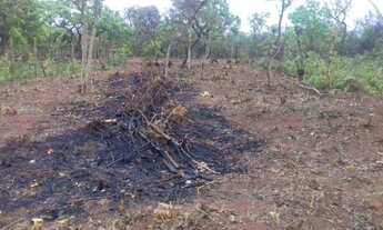 Imagem 2: Vendo troco lotaço em Mateus Leme, 300 mts plano, ônibus na porta,acto carro,micro ônibus