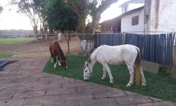 Imagem 5: Sitio Chácara com venda por R$450.000