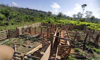 Imagem 7: Fazendinha 40 alqueires com 30 de abertura! município de Pacajá?