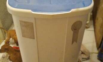 Imagem 3: Tanquinho, som, casa