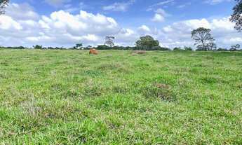 Imagem 2: Fazenda de 34 alqueires região de Goianápolis Goiás