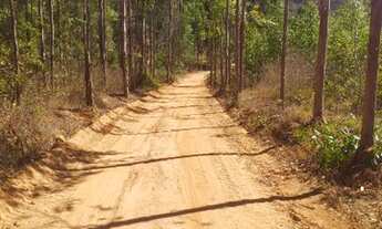 Imagem 6: Vendo chácara preço de oportunidade