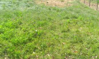 Imagem 2: Terreno em igarassu