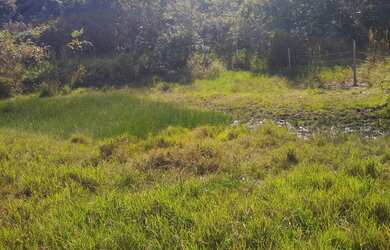 Imagem 7: Fazenda de 110 hectares. Plana. Divisa Rio Aquidauana - Corguinho - MS