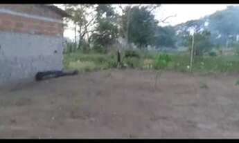 Imagem 4: Terreno Terreno / lote com venda por R$50.000