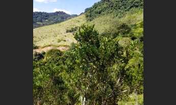 Imagem 6: Terreno Área rural, com plantação de Pocan