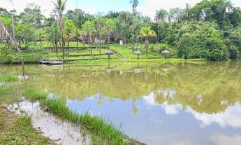 Imagem 7: Fazenda de 34 alqueires região de Goianápolis Goiás