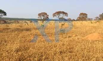 Imagem: MARTINHO CAMPOS - RURAL - ALBERTO ISAAC