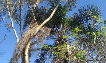 Imagem 5: Vendo terreno Terreno / lote com venda por R$25.000