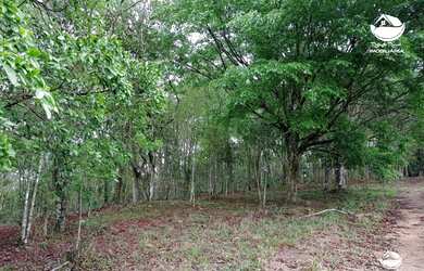 Imagem 2: Terreno à venda no bairro São Francisco Xavier - São José dos Campos/SP