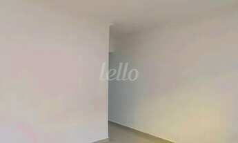 Imagem 3: São Paulo - Casa Padrão - Vila Mariana