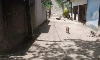 Imagem 3: Terreno em Gaibu *