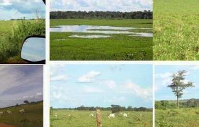 Imagem 3: Fazenda para Venda em Cocalinho, 11 dormitórios, 5 suítes, 6 banheiros