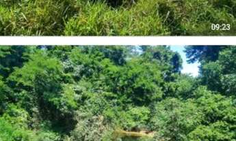 Imagem 6: Vende-se uma excelente fazenda de 666 hectares