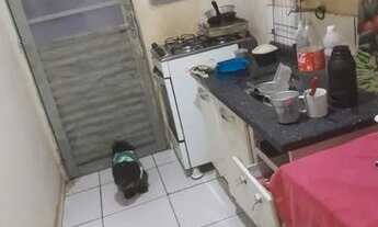 Imagem 4: Vendo ou troco casa no Atlântico 2