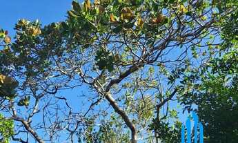 Imagem 2: Casa duplex, 04 quartos sendo 02 suítes, amplo jardim ,área verde, piscina, praia sétima