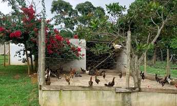 Imagem 5: Fazendinha em Santa Maria DF