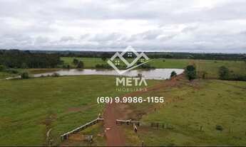 Imagem: Fazenda Cidade Rondonia, Pimenta Bueno