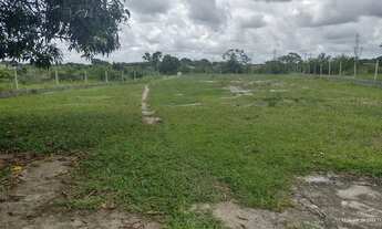 Imagem 2: Terreno com vista panorâmica, ventilado e nascente (posse pacífica), troca em carro
