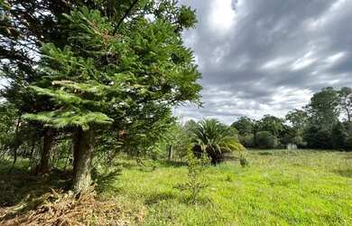 Imagem 3: Sítio De Barbada Só R$ 19.900 - E Ainda Parcelo Direto. ROB:659