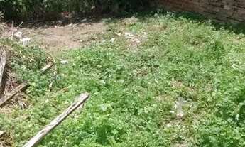 Imagem 2: Terreno em Gaibu *