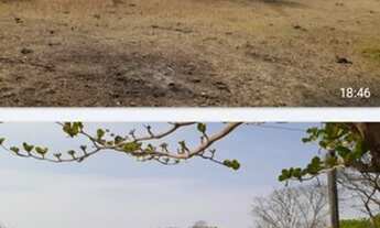 Imagem 4: Vende-se uma bela fazenda de 183 hectares