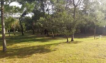 Imagem 7: Tche Louco Área de terra 1.2 Hectares Zona Rural de Sapucaia do Sul, RS de barbada!!!