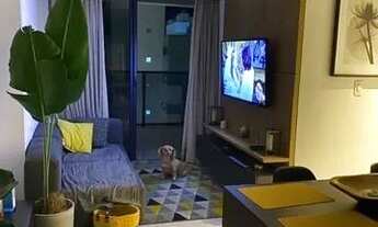 Imagem 8: Apartamento para venda possui 65 metros quadrados com 2 quartos em Tambaú - João Pessoa