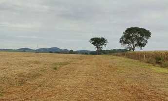 Imagem 2: 10 alqueiro a 800 metros de Nazário -go