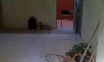 Imagem: Aluguel - ap. - térreo - 2/4