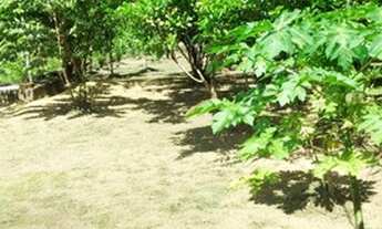 Imagem 3: Venda de terreno